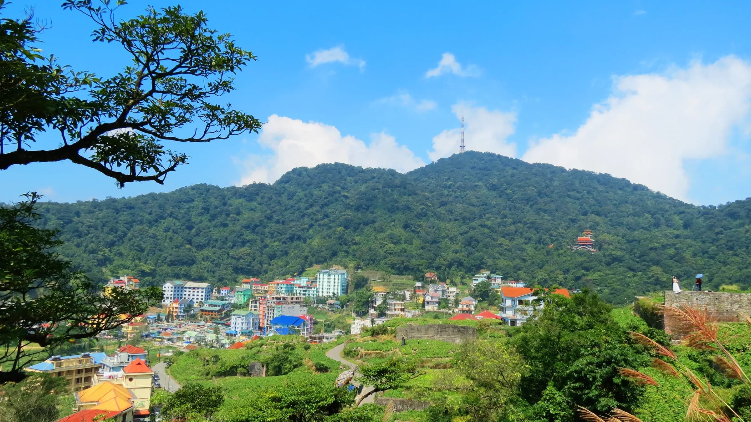Phong cảnh Tam Đảo, Phú Thọ